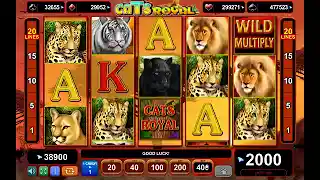 Cats Royal