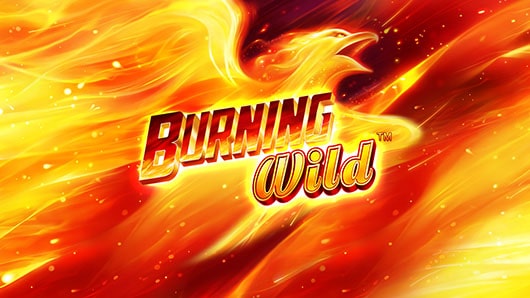Burning Wild