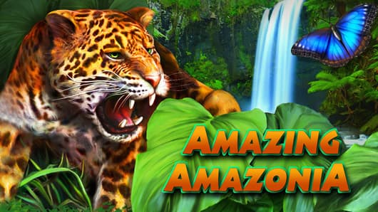 Amazing Amazonia
