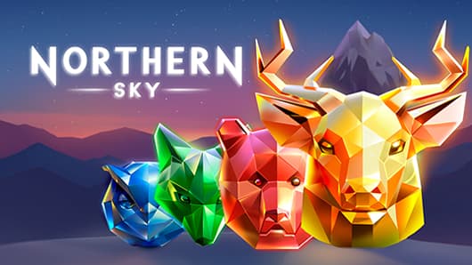 Northern Sky