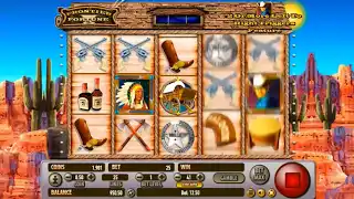Frontier Fortunes